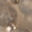 Armband mit Anhänger - Image 15