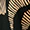 Hose mit Druck - Image 5