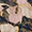 Rock - Image 6